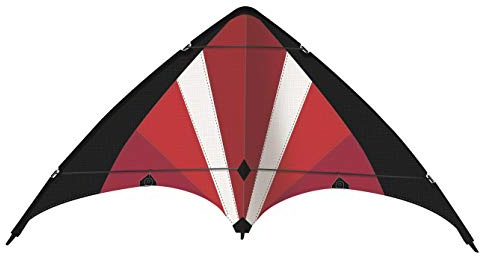 GÜNTHER FLUGSPIELE - 1070 - Sportlenkdrachen Power Move, ca. 130 x 69 cm, Drachen aus reißfestem Ripstop-Polyester, für Kinder ab 8 Jahren, inkl. hochwertigen Schnüren auf Lenkrollen
