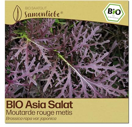 Samenliebe BIO Asia Salat Samen | Moutarde rouge metis - winterhart - samenfestes BIO Saatgut