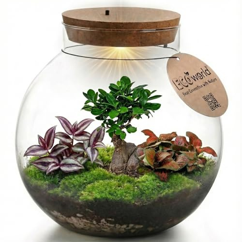 vdvelde.com - Bonsai Ökosystem - Bonsai und Minipflanzen - Ø 25cm ↥ 28cm - Batteriebetriebene Beleuchtung
