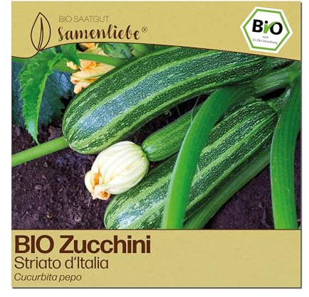 Samenliebe BIO Zucchini Samen | Striato d'Italia - italienische Zucchini & gestreift - samenfestes BIO Saatgut