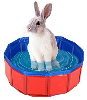 Kleine Hundepool Faltbarer Swimmingpool, Hundepool für Kleine Hunde, Ø50cm, Höhe 8cm, Faltbare Hunde Pools, Hundebadewanne Hundebad (Ø50cm, Höhe 8cm, A)