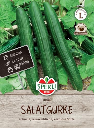 Sperli Salatgurkensamen Bella F1 80771, Gemüsesaat | Robuste, reinweibliche, Inhalt für 5 Pflanzen, bitterfrei, Aussaat ab Gewächshaus
