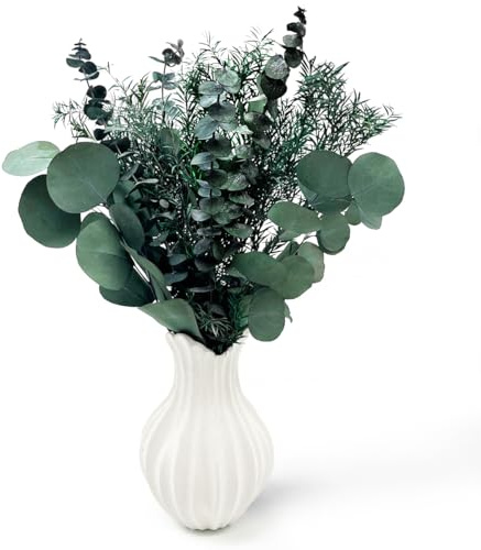 CAwished Trockenblumen Eukalyptus Getrocknet 3 Arten Gemischte für Die Perfekte Hochzeit Blumen Arrangements Heim Décor