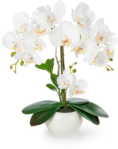 PASCH® Orchideen künstlich in Hochglanz-Keramiktopf (40cm) | Kunstblumen im Topf | Kunstblumen wie echt | künstliche Orchideen im Topf | künstliche Blumen im Topf | Kunstblume Orchidee
