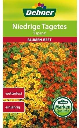 Dehner Blumen-Saatgut, Niedrige Tagetes Espana, 5er Pack