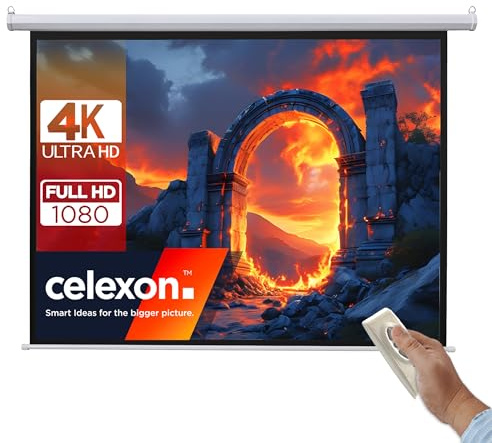 celexon Basic Motor-Leinwand 110 | 200x200 cm 1:1 | elektrische Full-HD 4K Beamer-Leinwand für Heimkino oder Büro-Präsentationen | geeigent zur Deckenmontage oder Wandmontage | inkl. Fernbedienung
