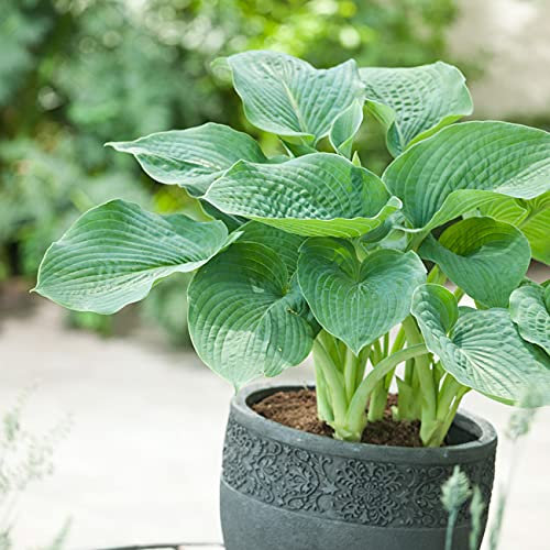 Garten Schlüter