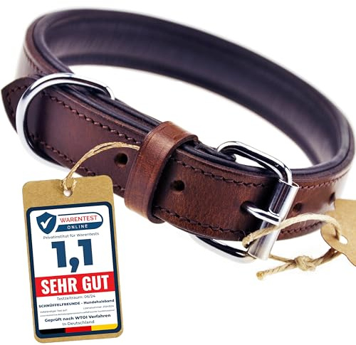 Schnüffelfreunde Halsband für Hunde aus Leder, Hundehalsband für den großen, mittleren und kleinen Hund, Lederhalsband gepolstert, robust (L - 36-45cm, Braun)