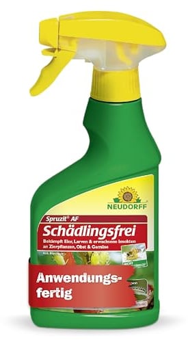 Neudorff Spruzit AF Schädlingsfrei – Bekämpft Schädlinge wie Buchsbaumzünsler, Blattläuse, Thripse an Zierpflanzen, Gemüse, Obst und Kräutern, 250 ml