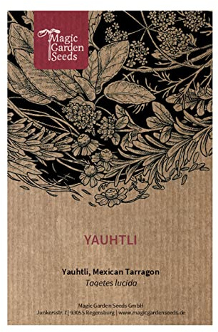 Yauhtli (Tagetes lucida) - ca. 100 Samen