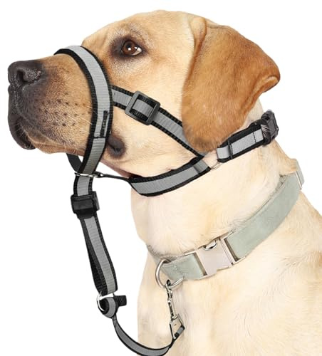 Reflektierendes Halfter, kein Ziehhalsband für große Hunde, Anti-Zieh-Maulkorb-Leine für große Rassen, Verstellbarer weicher Hundehalfter, Nasenleine für einfache Kontrolle auf Spaziergängen