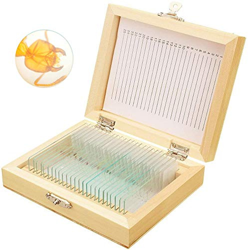 Bysameyee Vorbereitete Objektträger mit Proben für Kinder, 25 PCS-Objektträger-Objektträger Science Kit-Set mit Passendem Holzkoffer für Die Biologische Grundausbildung