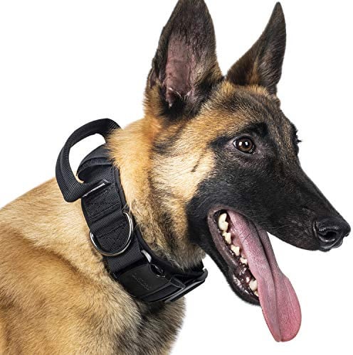 OneTigris Hunde Halsband mit Metallschnalle für Hunde (Schwarz, L)