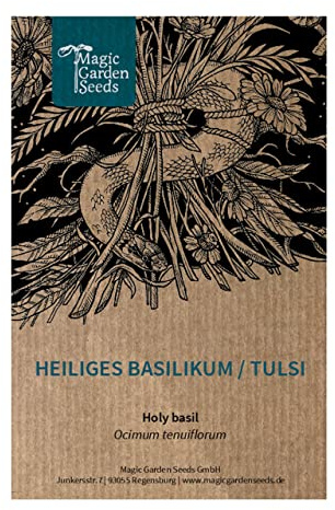 Heiliges Basilikum/Tulsi (Ocimum tenuiflorum syn. sanctum) - ca. 500 Samen