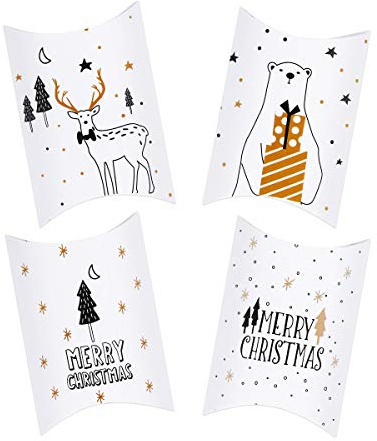 Kiiwah 20 Stück Weihnachten Geschenkbox, Keksschachtel Pralinenschachtel Schachtel Klein für Weihnachten Geschenk Weihnachtsdeko