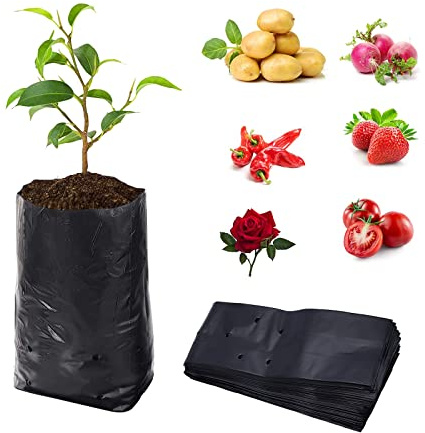 bainuote Pflanztasche 100 Stück Hochwertige PE-Pflanzsack Pflanzen Wachsen Tasche Biologisch Abbaubar Verdickte Pflanzbeutel mit Atmungsaktiven Löchern Sämlingsbeutel (10x20cm (DxH))