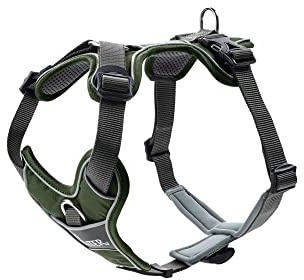 Hunter Hundegeschirr, Grün/Grau, 45-56 cm