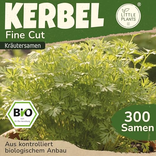 Little Plants BIO Kerbel Fine Cut Samen 300 Kerbelsamen Kräutersamen Samenfest für Kräutergarten Kräuter Samen Küchenkräuter für Küche, Balkon und Garten