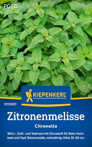 Kiepenkerl Zitronenmelissesamen Citronella 1013600 – Mehrjähriges Kraut mit Zitronenduft und einer Wuchshöhe von 30 bis 60 cm und Inhalt für 150 Pflanzen - Kräutersamen