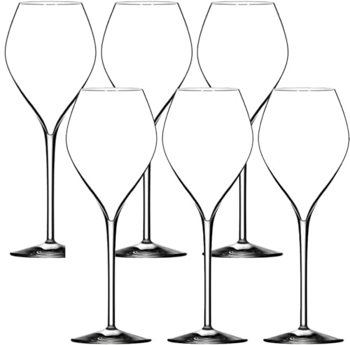 Lehmann Jamesse Premium Champagnergläser | 6er Set | 30cl Kristallgläser | Champagner- und Proseccoflöten | Französisches Luxusdesign | Breite Schale mit schmalem Deckel | Glaswaren aus Frankreich