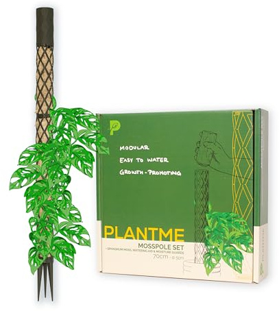 PlantMe Moosstab Midi Set - Rankhilfe Zimmerpflanze Rankhilfen für Kletterpflanzen, Efeutute, Moosstab, Pflanzenstütze, Moss Pole, Kletterhilfe Zimmerpflanzen, Philodendron (Grün-Grau, 70cm)