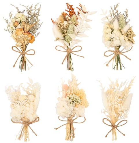 LAUMOE 6 Bündel Mini Trockenblumenstrauß Klein, Trockenblume, Getrocknete Blumen, Trockenblumen Zum Basteln Trockenblumen klein für Bilderrahmen DIY Heim-Party Und Hochzeitsdekoration (Stil 3)