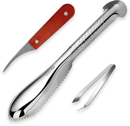 Druuzyl Fischentschupper 3 Stück Shrimp Line Fischentschupper Edelstahl entferner Fisch entschuppen, Profi Fisch Scaler Scraper Fischschaber Küchenhelfer für Küche Meeresfrüchte Märkte