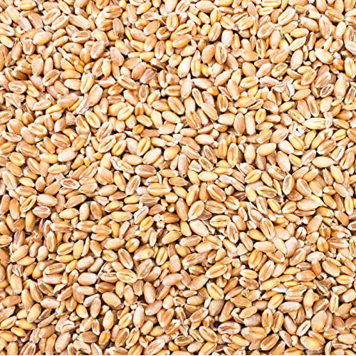 Petigi 30 kg Weizenkörner Einzelfuttermittel Futter Hühner Getreide Weizen | im Sack, Futterweizen, Geflügelfutter, Vögel, Wildvögel, Kaninchen, Körner