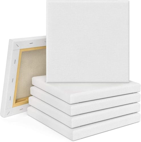 Tebery 10er Set Leinwand Mit Keilrahmen 20x20cm, Künstler Leinwandbrett Aus 100% Baumwolle Zum Bemalen Mit Ölfarben, Skizzieren Und Zeichnen - Weiß