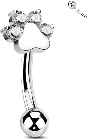 CM Crareesi Mania Titan Rook Piercing Schmuck Pfoten Augenbrauen Piercing Knorpel Helix Ohrring Curved Barbell Innengewinde Daith Tragus Schmuck 16G Labret Lippenpiercing Klarer CZ für Frauen 6mm