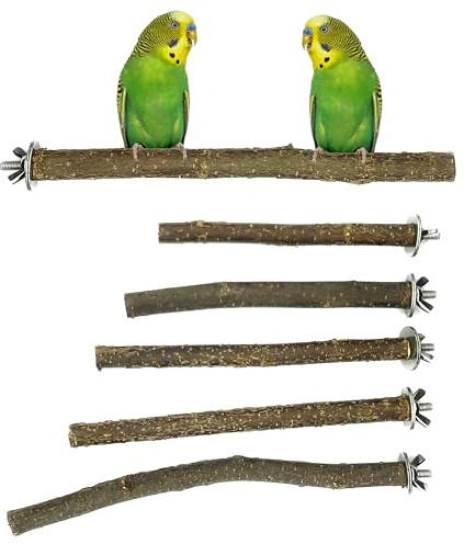 6 Natur Sitzstangen für Vögel - Befestigung aus Edelstahl - Wellensittich Spielzeug - Nymphensittich Spielzeug - Vogel Spielzeug
