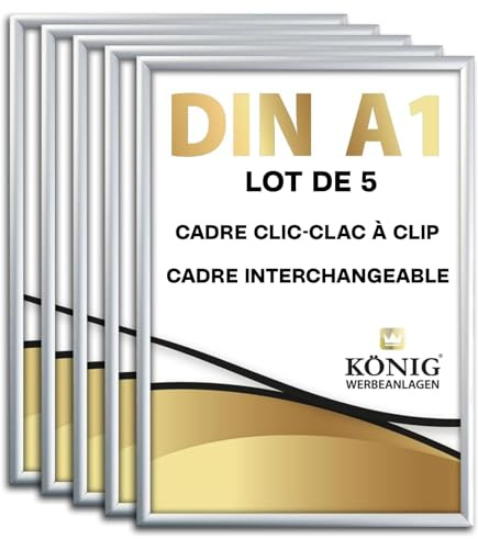 5 Plakatrahmen DIN A1 | 25mm Aluminium Profil, Silber | inkl. entspiegelter Schutzscheibe | Alu Klapprahmen Wechselrahmen Posterrahmen | 5er Sparpack | Dreifke®
