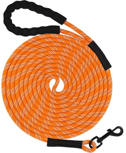 Taglory Schleppleine 10m für Hunde | Reflektierendes Seil | Gepolsterter Griff | 8mm Orange