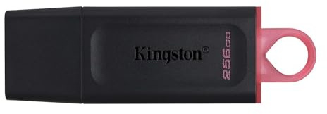 Kingston DataTraveler Exodia DTX/256GB USB-Stick 3.2 Gen 1 - mit Schutzkappe und Schlüsselring in mehreren Farben, schwarz