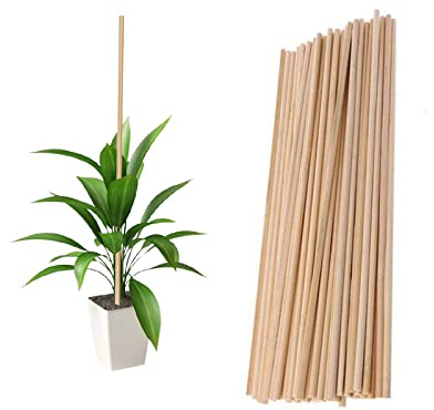 Plant Support Sticks, 50 Stück 40 cm Wiederverwendbare Bambuspflanzen Support Flower Stick Gartengeräte für Gartenstöcke (40CM)