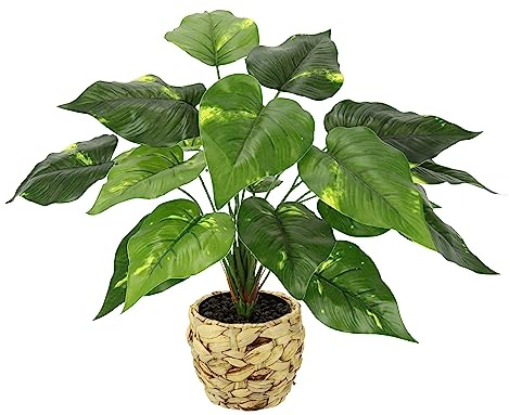 Künstliche Pothospflanze im Korb Pothos Pflanze Goldene Efeutute Zimmerpflanze Kunst Deko Seidenblume Real Touch grün Kunstpflanze Kunstblume Blattpflanze Dekopflanze Grünpflanze Busch Aronstabgewächs