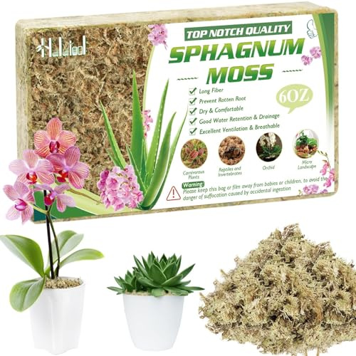 Halatoo 170g Sphagnum Moos,Natürliches Torfmoos Langfaser,Moos für Orchideen Terrarien,fleischfressende Pflanzen,Sukkulenten und Reptilien