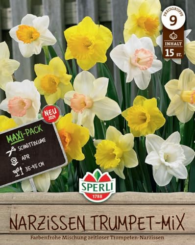 Sperli Maxi Trompeten-Narzissen Mischung 462418 - Farbenfrohe Narzissen Zwiebeln für Garten und Kübel, perfekt zum Verwildern, harmoniert mit Tulpen