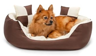 lionto Hundebett 4-in-1 mit Wendekissen, 65 x 50 cm, Braun/Beige | Robustes, wasserabweisendes Haustierbett mit Oxford-Bezug, herausnehmbarem Kissen und tiefem Einstieg für Hunde und Katzen