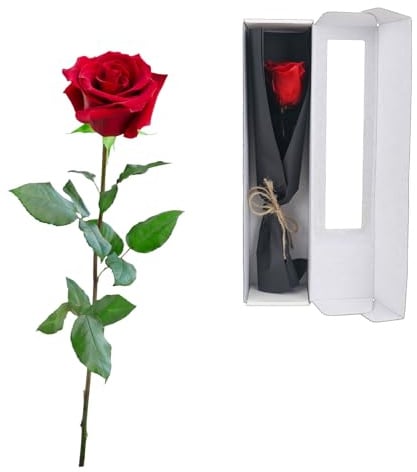 elthmpr Infinity Rose rosa am Stiel - Echte Konservierte Rose in Geschenkbox Geschenke für Frauen Ewige Rose in Ihrem GeburtstagsjubiläUm Muttertag Weihnachten
