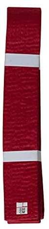 Lisaro kampfsportgürtel Karate Judo Taekwondo Ju Jutsu BJJ Gürtel Gr. 160-300 cm (rot, 160)