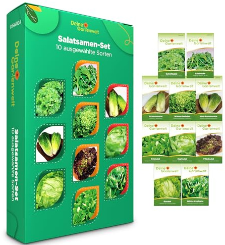 Salat Samen Set – 10 Sorten Salatsamen – Anzuchtset für Salat – Pflücksalat, Feldsalat, Kopfsalat, Eisbergsalat, Romanasalat, Wintersalat & Mehr – ideal als Geschenkset