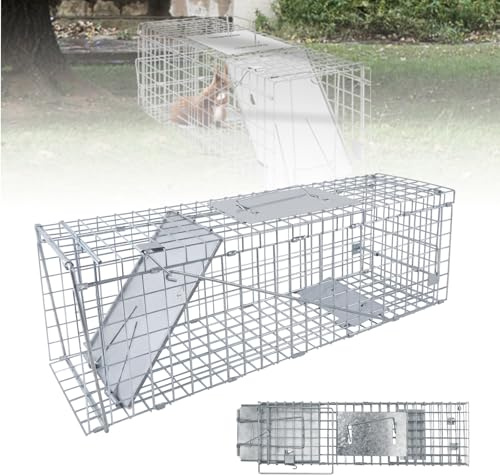 Große Tierfalle 62x19x21 cm – 1 Eingänge für Marder, Katzen, Waschbären – Verzinkte, Wetterfeste Lebendfalle – Humane Kaninchenfalle & Rattenfalle