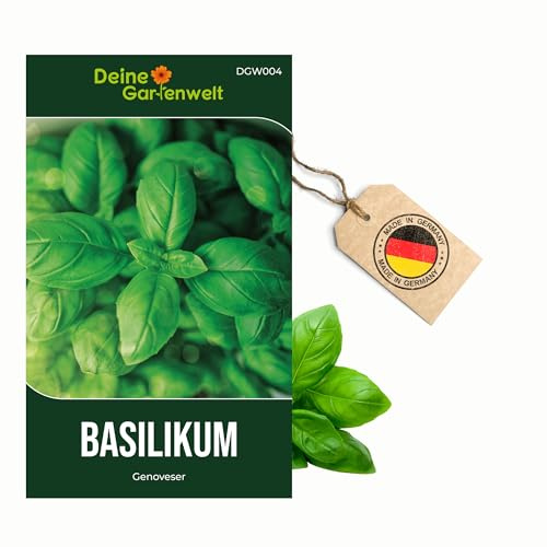 Basilikum Genoveser Samen - Ocimum basilicum - Basilikumsamen - Kräutersamen - Saatgut für 150 Pflanzen
