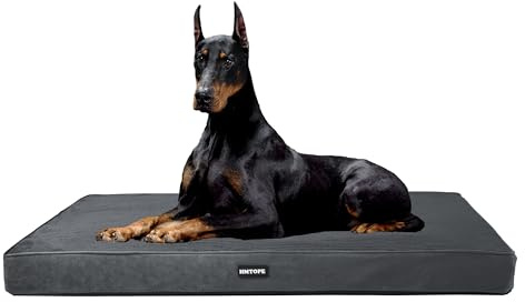 HMTOPE Orthopädisches Hundebett, 10cm Dicke Hundekissen für Grosse Hunde, Abnehmbar und Waschbar Hundematte, rutschfeste Unterseite, Wasserdichtes Innenfutter, 120 cm, Dunkelgrau
