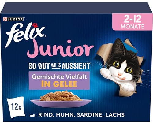 Felix So gut wie es aussieht Junior Kittenfutter nass in Gelee, Sorten-Mix, 6er Pack (6 x 12 Beutel à 85g)