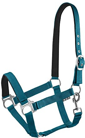 Start Halfter Pferd – Stallhalfter & Weidehalfter für Pony, Vollblut, Warmblut – verstellbar & neoprengefüttert – Lined Halfter für Pferde mit Komfort & Passgenauigkeit (Petrolblau, Full (Warmblut))