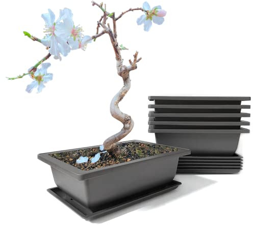 maiple 6 Stück Bonsai Trainingsschalen, 23x17x8cm, rechteckige Bonsaitöpfe aus Kunststoff mit Untersetzer, Pflanzgefäß für Garten, Terrasse und Fensterbank