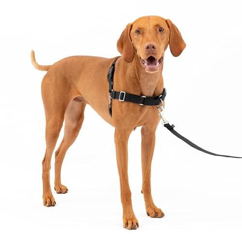 PetSafe Easy Walk-Geschirr, Anti-Zieh-Hundegeschirr, Verringert Würgen und Husten, Mit 1,8 M Leine, Größe M, Schwarz