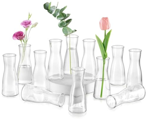 Glasseam Kleine Glasvasen für Tischdeko, 12 Stück Klar Flower Vase Klein | 14cm Deko Blumenvasen Modern, Minimalistische Blumenvase Glas Vasen Set, Esstisch Tafelaufsatz, Wohnzimmer, Hochzeit, Party